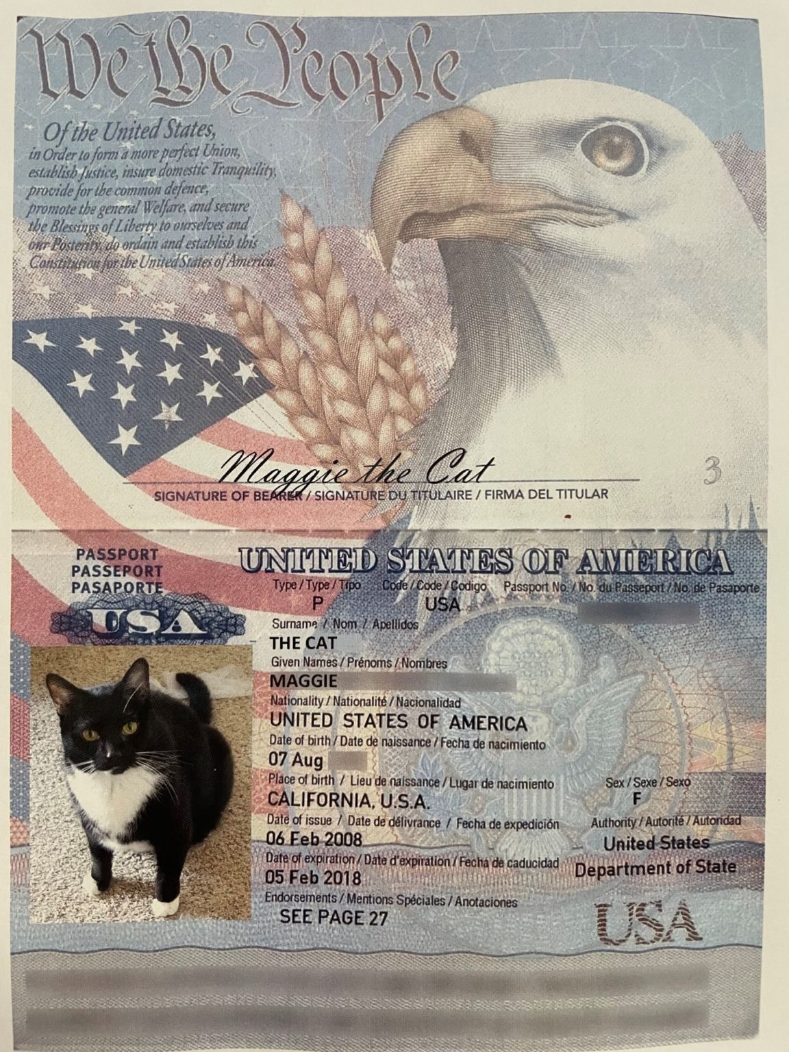catpassportexample 2 JET Program USA